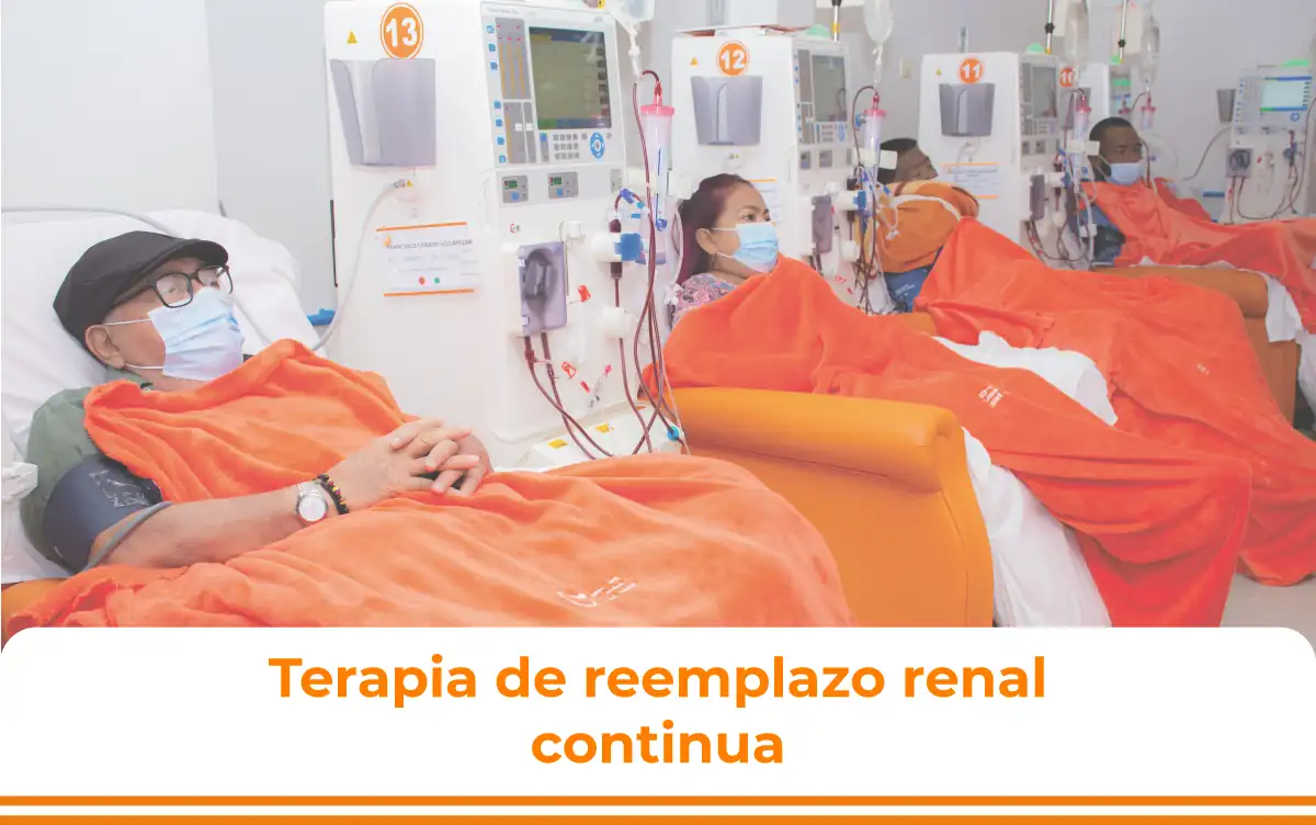 Imagen 5